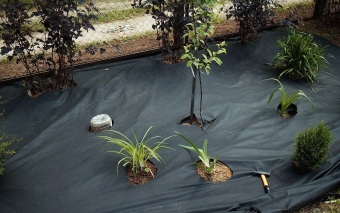 Объемная георешетка Вебер.Текс (сторона ячейки 210х210 мм, высота ребра 100 мм, площадь модуля 18,6 м2), ПЕРФОРИРОВАННАЯ.